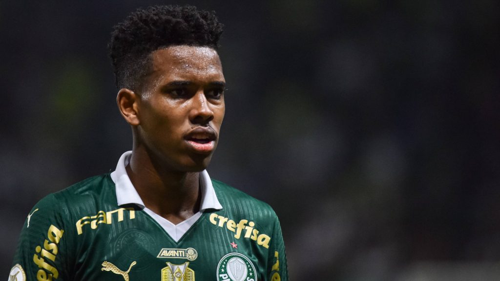 Estevao, Palmeiras player during the game between Palmeiras and Botafogo at Allianz Parque in Sao Paulo, Brazil, the match is valid for the Brazilian Championship Series A
